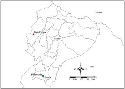 Bacterial microbiota from the gut of Rhodnius ecuadoriensis, a vector of Chagas disease in Ecuador's Central Coast and Southern Andes